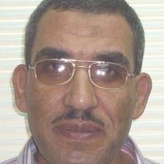 HAMMAM ELMISSIRY المسيري, Senior Resident Engineer