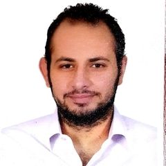 Ayman Darwish, Site engineer