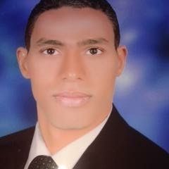 Mahmoud Hassan Farag, محاسب