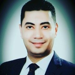 Mohamed Badran, Procurement Manager