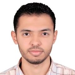 Ahmed Gamal, Electrical Engineer