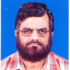 Muhammad Hafeezur Rahman, Electricity Specialist