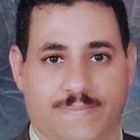 شحاتة محمد عبد الحكيم عمار, مدير مبيعات اقليمى