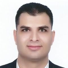 Ayman Mohammed Haleem
