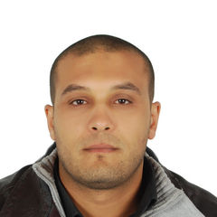 حسام jbeli, regional sales manager