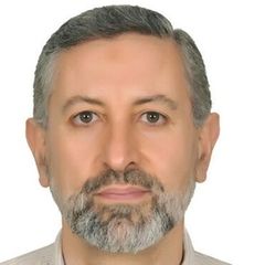 إبراهيم الحسيني, Project Manager