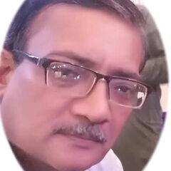 Ali Raza Syed, Virtual Assistant (Online)
