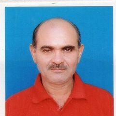 Om Prakash Chokhani, •	Sr. Bridge Engineer 