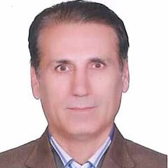 Hooshang Karimi Babaahmadi, Electrical Lead Engineer