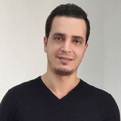 Oussama Mansouri, It Project Manager