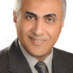 Mohamed Gaber, Sales operation manager