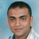 Hossam Eldin Monier Allam Allam, Lead Civil Construction Engineer