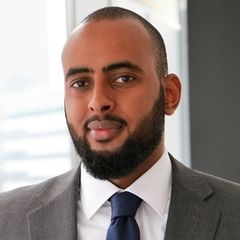 Moayed Ali, Freelance Strategy consultant