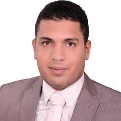 ahmed el-badrawy