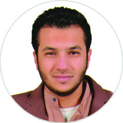 Mohamed Hani   Ismail, ميسر تنمية مهنية 