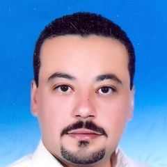 عمرو مصطفى, project sales representative