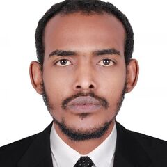 Mohammed  Ibrahim Alshikh , project engineer civil engineer