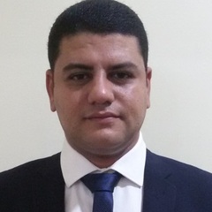 Mohammed Khashaba, مهندس مشروع