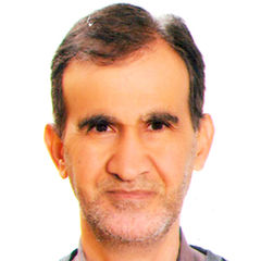 Alaa Hussein, Electricity technician