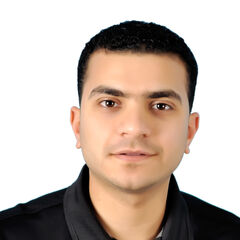 Ahmed El-Habashy, customer service representative
