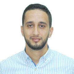 العشي صلاح الدين, Software and Network Engineer