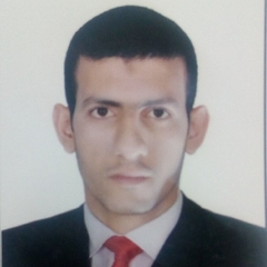 أحمد يونس, سكرتير تنفيذي