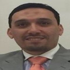 Mohamed Abdellatif, Senior Geo-technical Engineer / CONSULTANT
