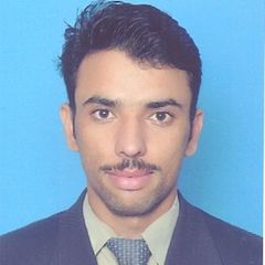 Shah Hussain, Audit Associate