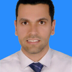 سامي محمد سرفراز, Senior Network Operation Center(NOC)-TSC Agent