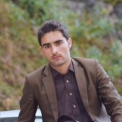 Adnan Bacha