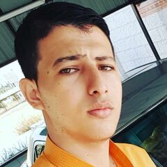 Ahmad Alazzam, Junior .NET Developer