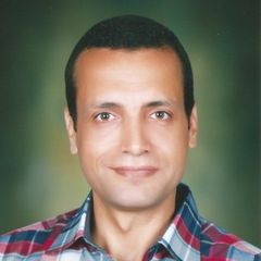 Ayman Maimoni, Manager - Information Technology Audit