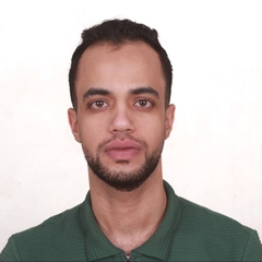 Mohamed Hamed, مندوب