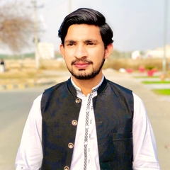 Muhammad  Haseeb Waqas 