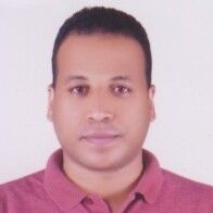 Essam Hasan Abdou Ibraheem Ibraheem, system engineer