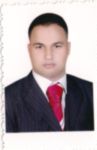 mahmoud ali, senior team leader developer