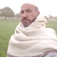 AFSAR MARWAT