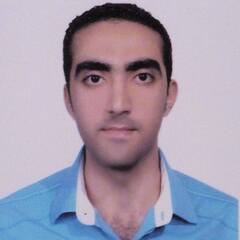 Hossam Abdelhafiz