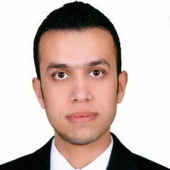 محمد احمد عبد المقصود محمد, Financial Controller