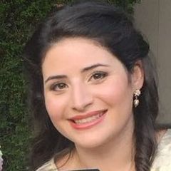 nour aldajani, Consultant