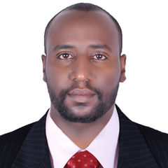 Omer Abdelmajeed Idris Mohammed, Software Developer