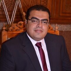 Ibrahim El Hadary, Electrical Manager