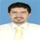 Wael Hamad, Sales Manager