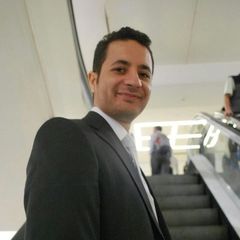 Mohamed Kamel Kandeel, International Business Manager