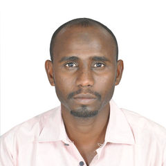 Hamid Abdalla, Movement Control Assistant