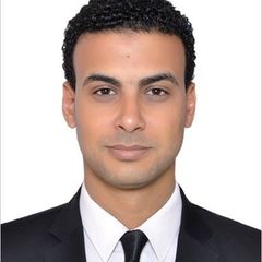Amr Ibrahim, legal counsel