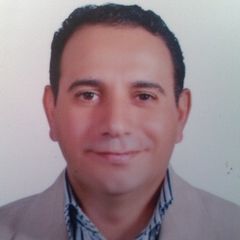 maged zaki, Sales Manager