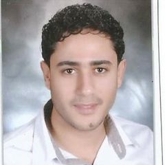 Mohamed Khalefa, محاسب