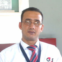 wagdy abdelaziz