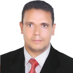 محمد عبدالله  عيسي, مدير مشروع استشارى 